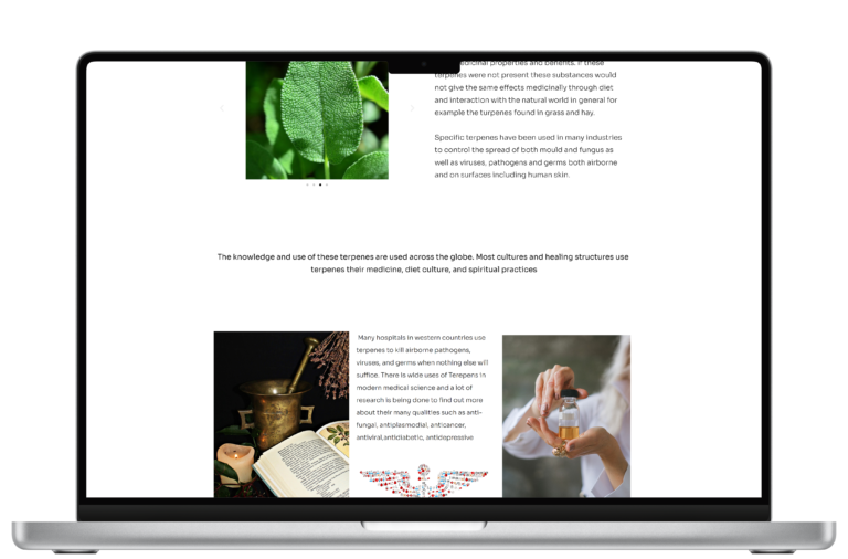 terpenes upscaled-front